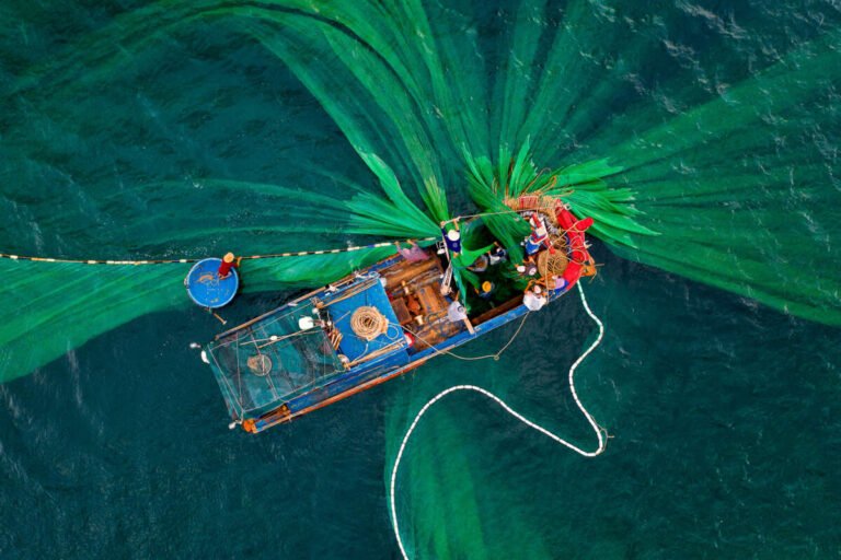 Top-down view of a fishing boat on teal water with fishermen spreading a vast green net fanning out around it.