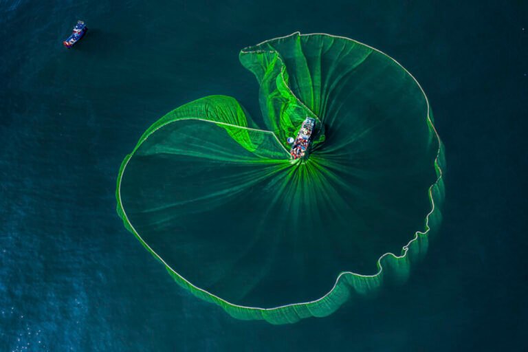 Aerial view of a green fishing net spreading like a lily pad around a small boat at sea