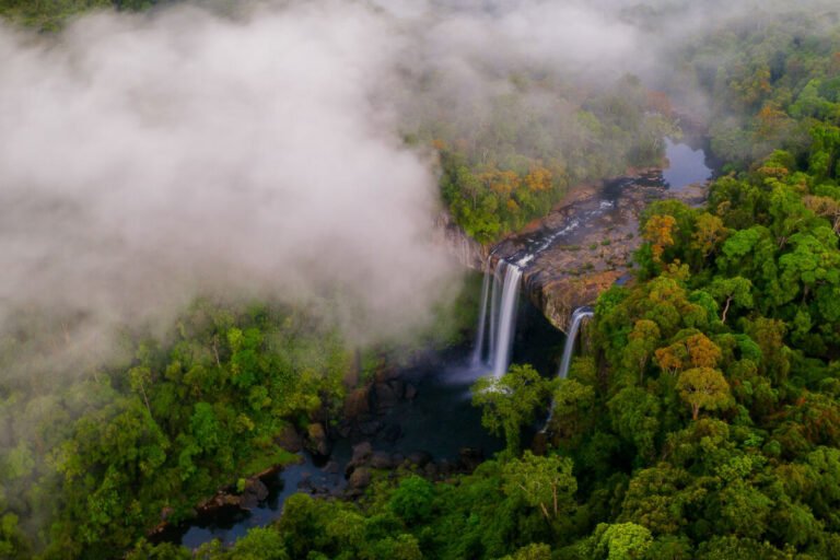 Aerial view of twin waterfall streams dropping into dark rocks within thick green jungle beneath low white clouds.