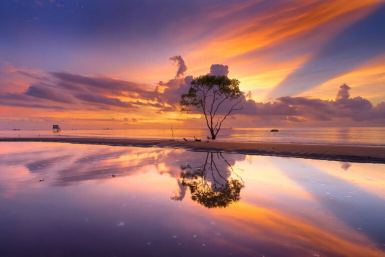 A solitary tree on the shoreline reflects in shallow water beneath streaks of orange and purple sunset cloud.