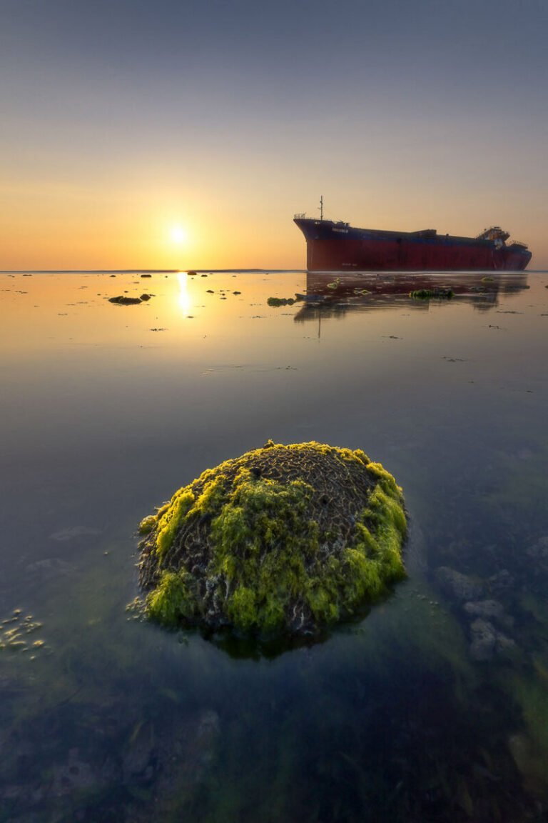Vertical view of a moss-covered rock in calm sea water at sunrise, with a stranded ship on the horizon.