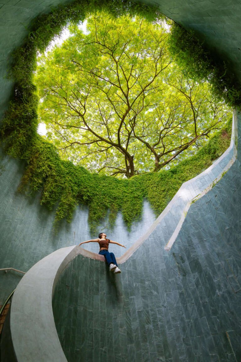 Looking up from a spiralling concrete walkway inside a circular shaft toward a bright green tree canopy, with one person below.