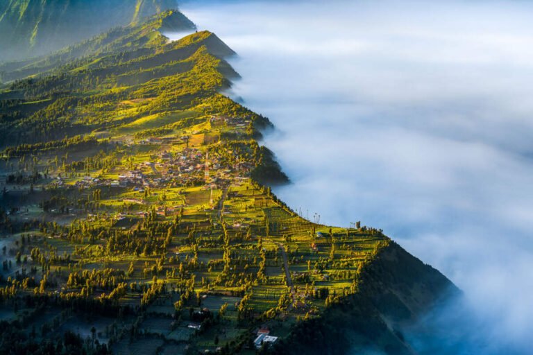 Green terraced fields and a small village cling to a steep mountain ridge that drops into a sea of white cloud.