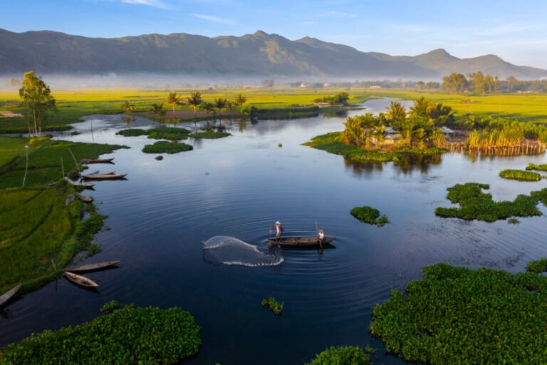 Fisherman casting a net from a small boat on a calm lake among water hyacinth and palms